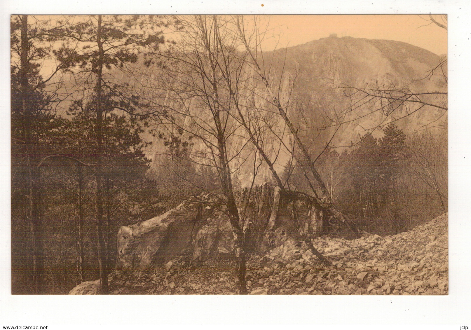 AMAY - Abbaye De Flône - Dans La Montagne. - Amay