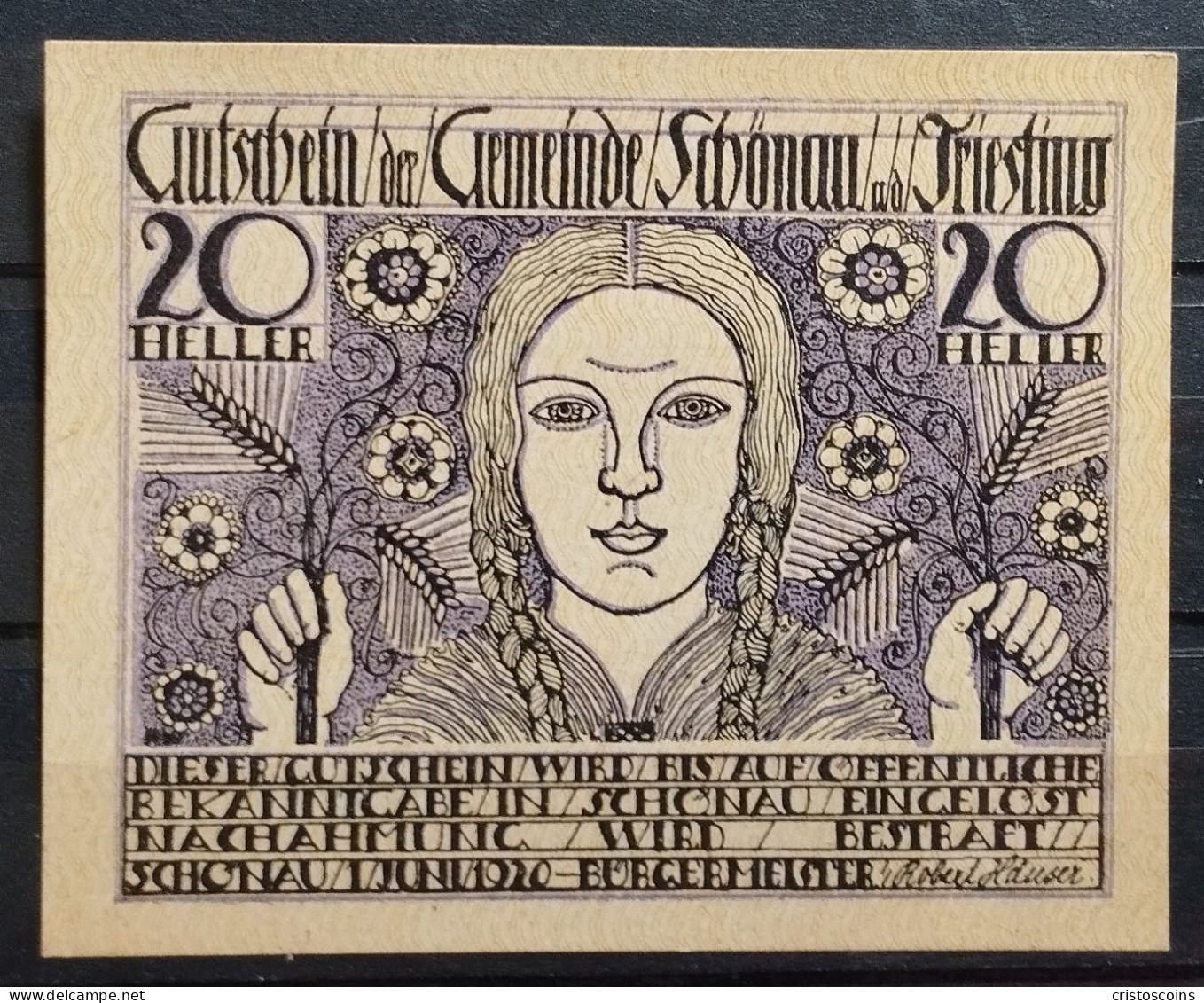 Austria  20 Heller Notgeld   Schönau An Der Triesting FDS (B/1-62 - Oesterreich