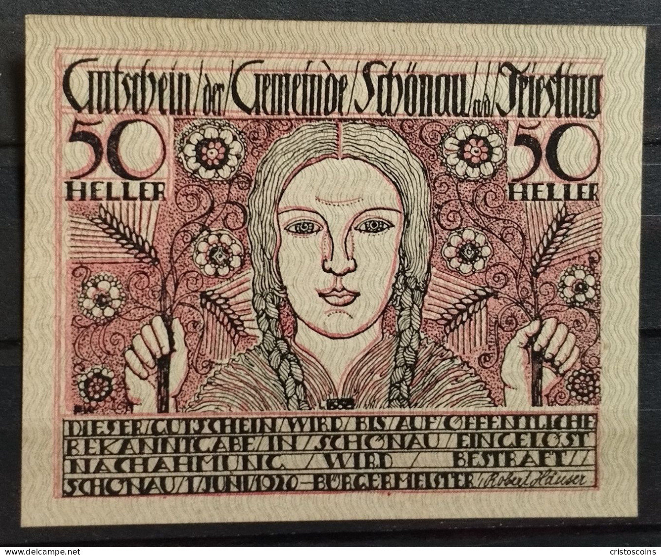 Austria  50 Heller Notgeld   Schönau An Der Triesting FDS (B/1-62 - Oesterreich