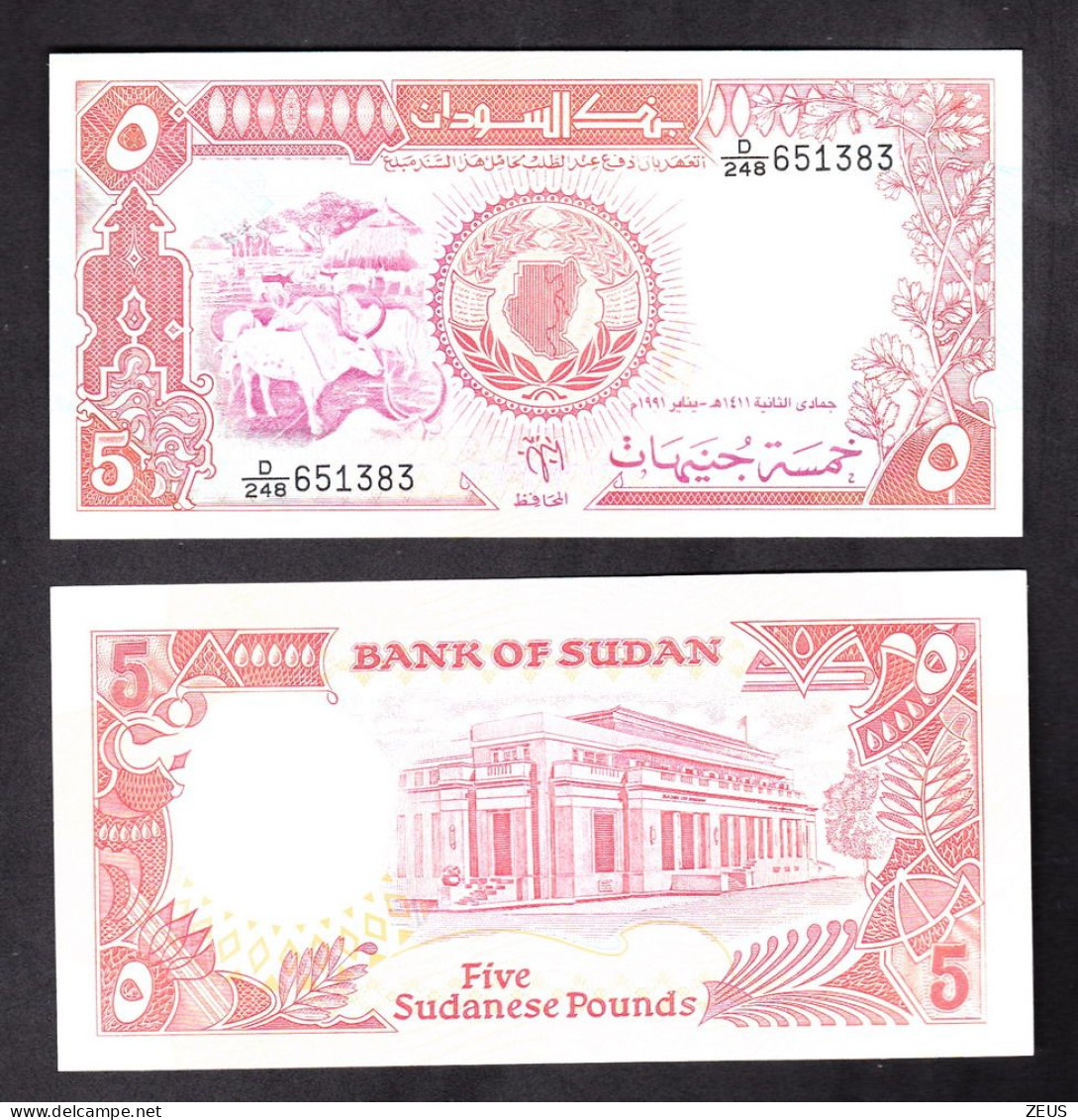 SUDAN 5 POUND 1991 PIK 45 FDS - Soudan