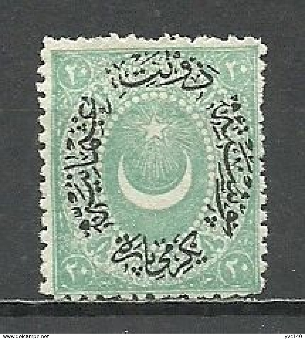 Turkey; 1877 Duloz Stamp 20 P. - Oblitérés