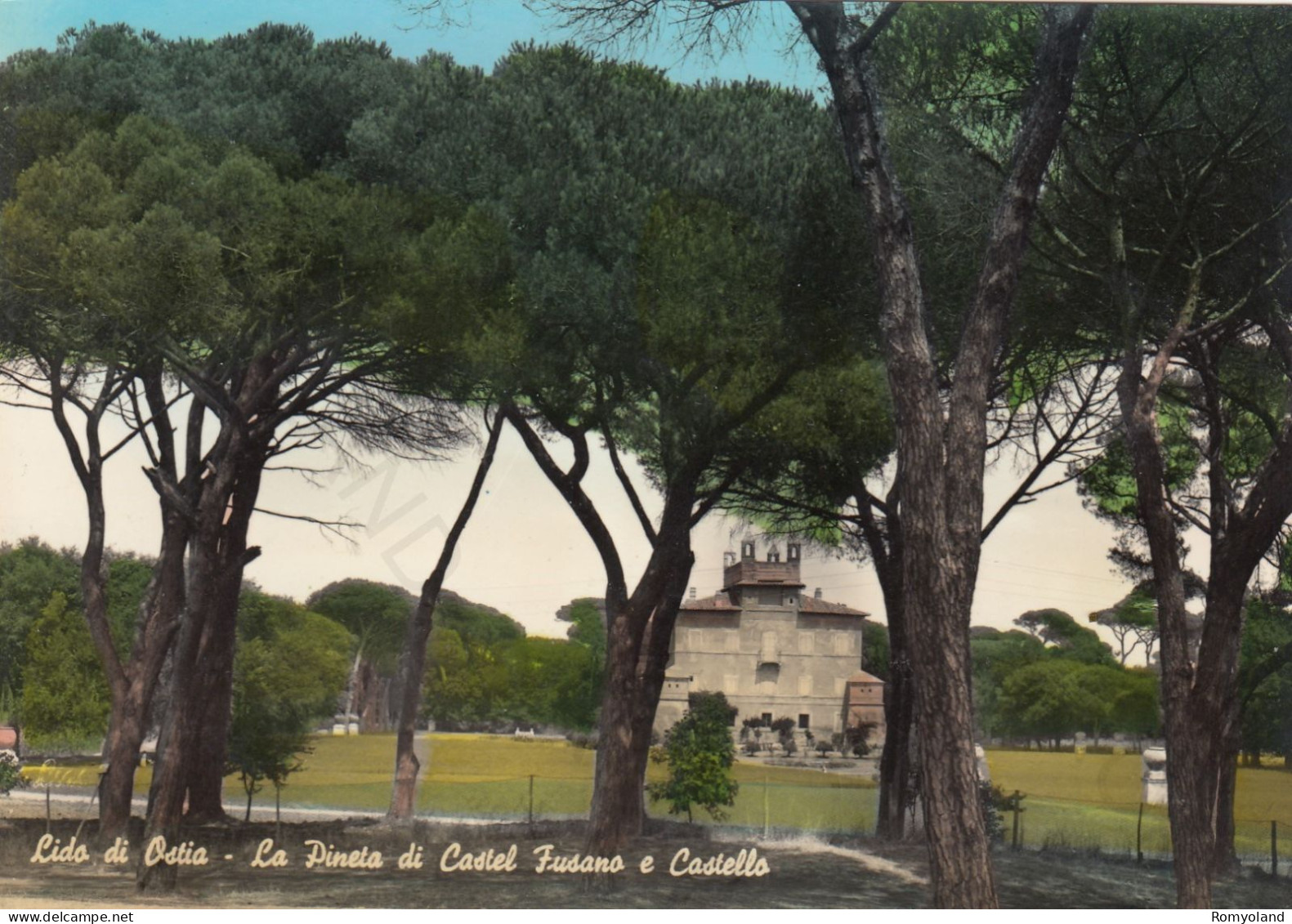 CARTOLINA  LIDO DI OSTIA,ROMA,LAZIO-LA PINETA DI CASTEL FUSANO E CASTELLO-STORIA,MEMORIA,BELLA ITALIA,VIAGGIATA 1964 - Bar, Alberghi & Ristoranti