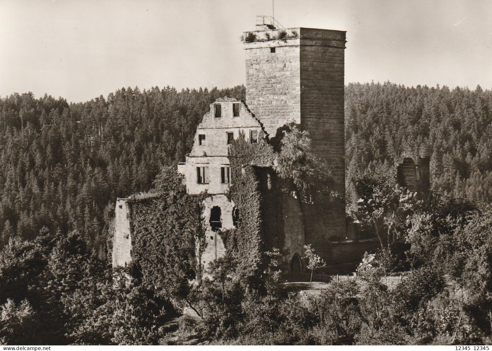 Burgruine Zavelstein, Schwarzwald - Bad Teinach