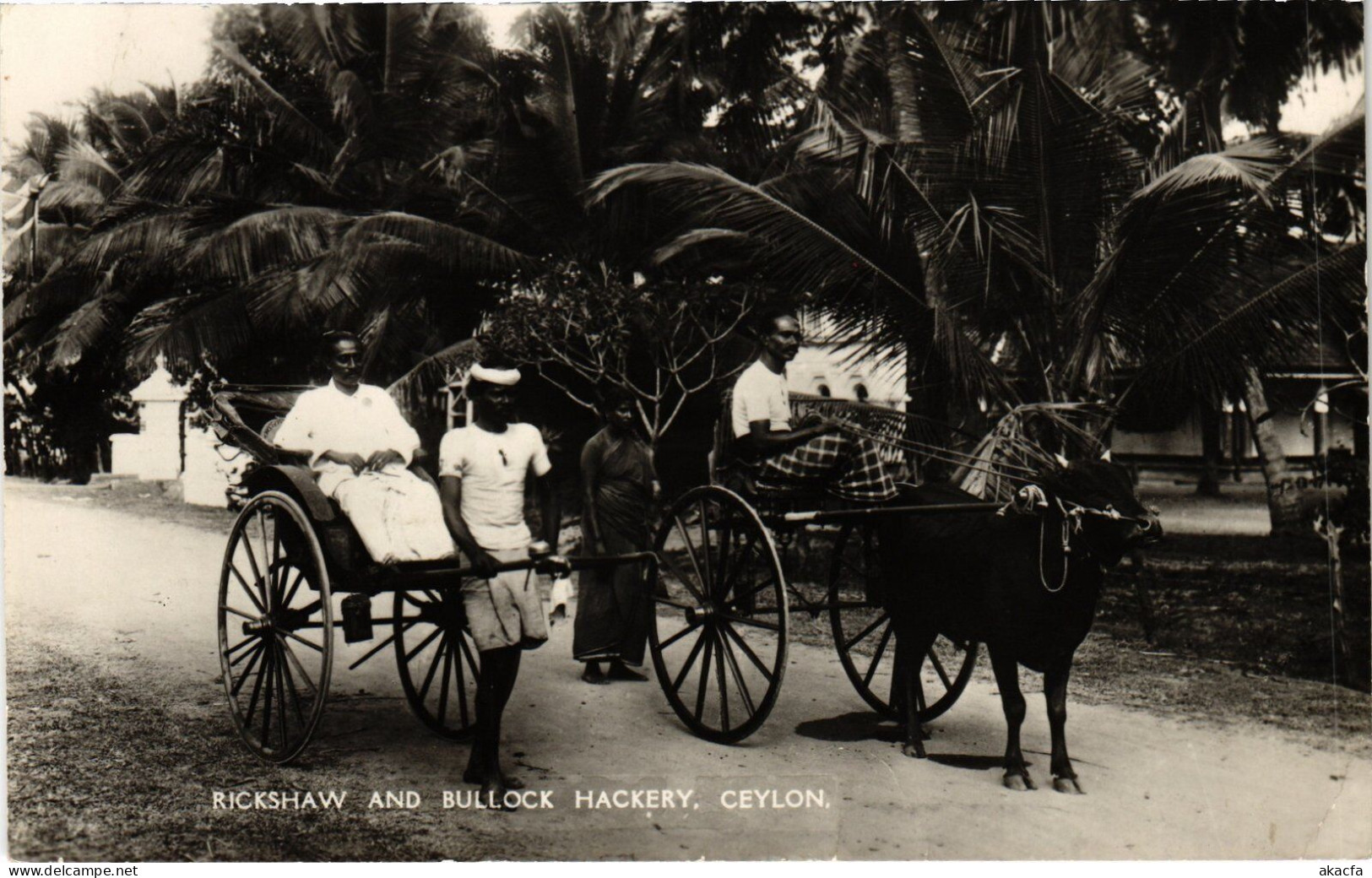 PC CEYLON SRI LANKA ETHNIC TYPES RICKSHAW AND BULLOCK HACKERY (a49708) - Sri Lanka (Ceylon)