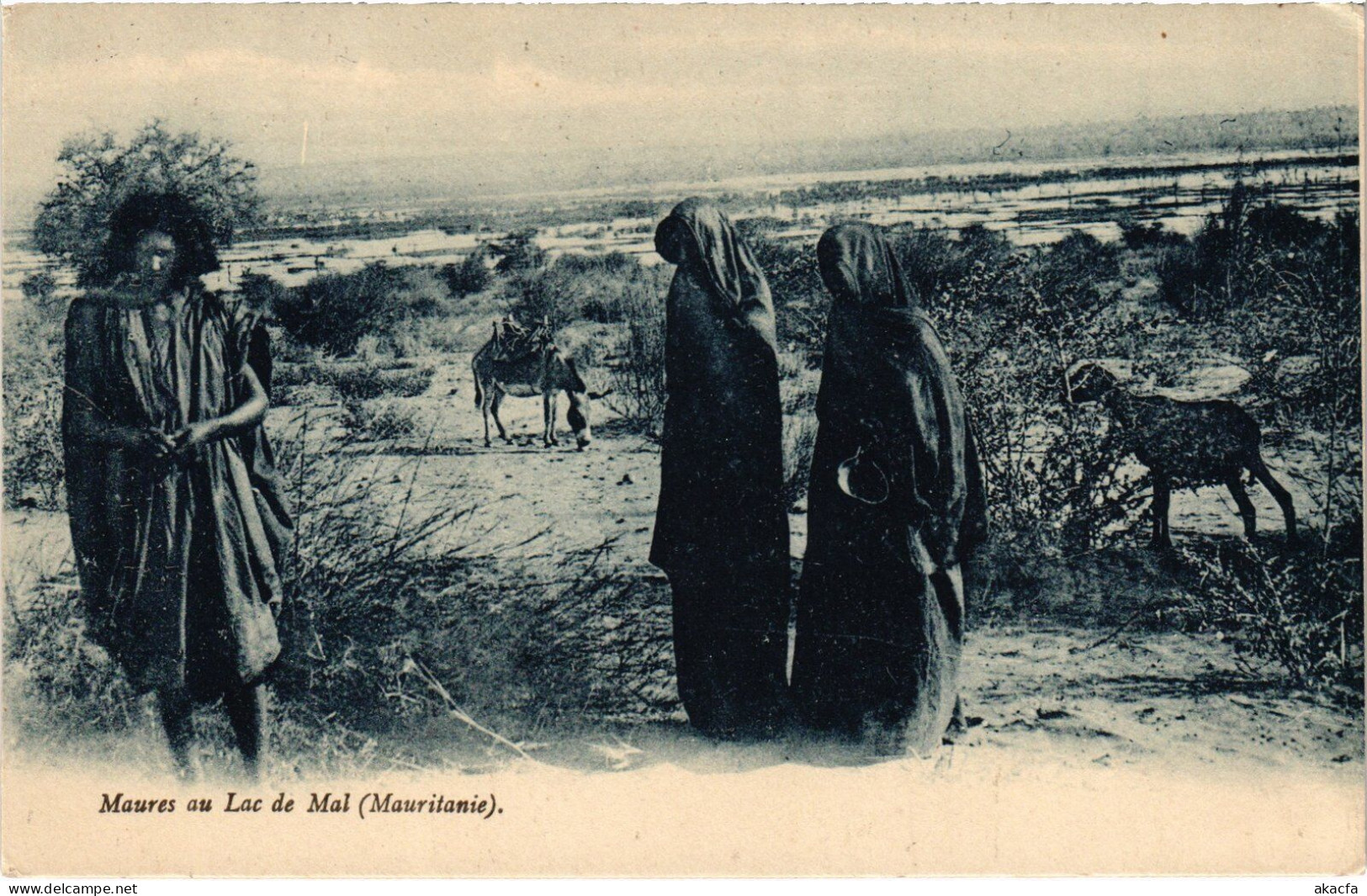 PC ETHNIC TYPES MAURE MAURE AU LAC DE MAL MAURITANIA (a49974) - Mauretanien
