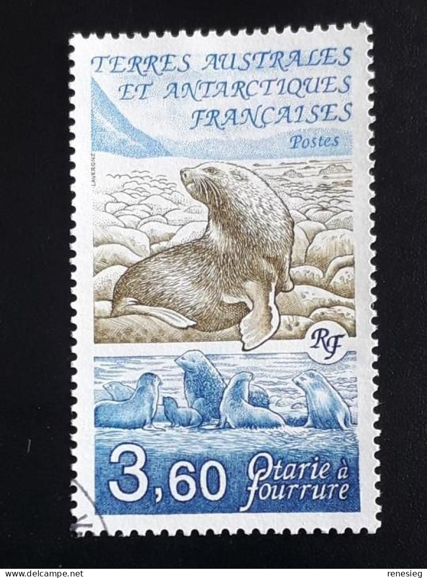 French Antarctic 1991 Yv 159 - Gebruikt