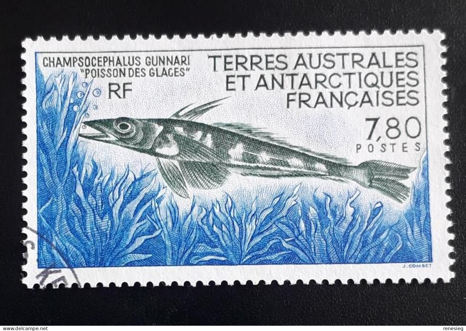 French Antarctic 1991 Yv 161 - Gebruikt