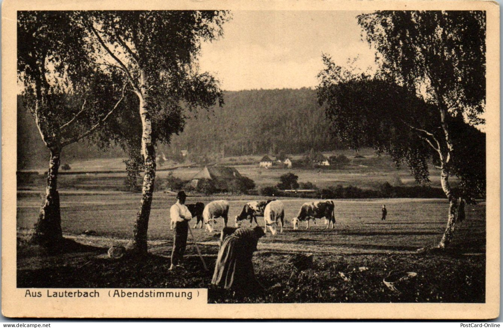 46210 - Deutschland - Lauterbach , Abendstimmung , Kuhherde , Bauern - Gelaufen 1917 - Lauterbach