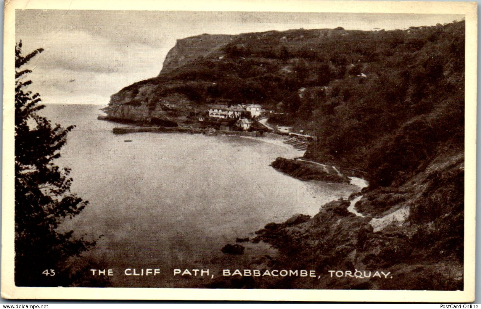 46173 - Großbritannien - Devon , Torquay , The Cliff Path , Babbacombe - Gelaufen 1950 - Torquay