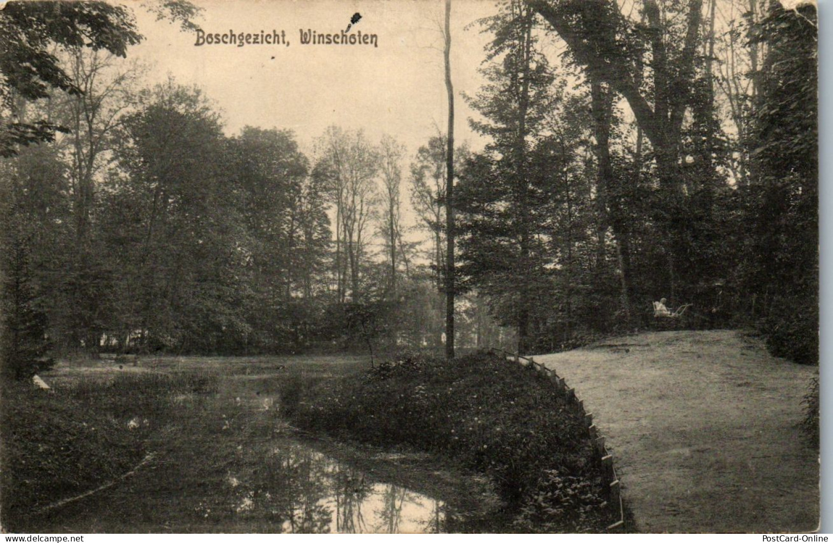 46011 - Niederlande - Winschoten , Boschgezicht - Gelaufen 1911 - Winschoten