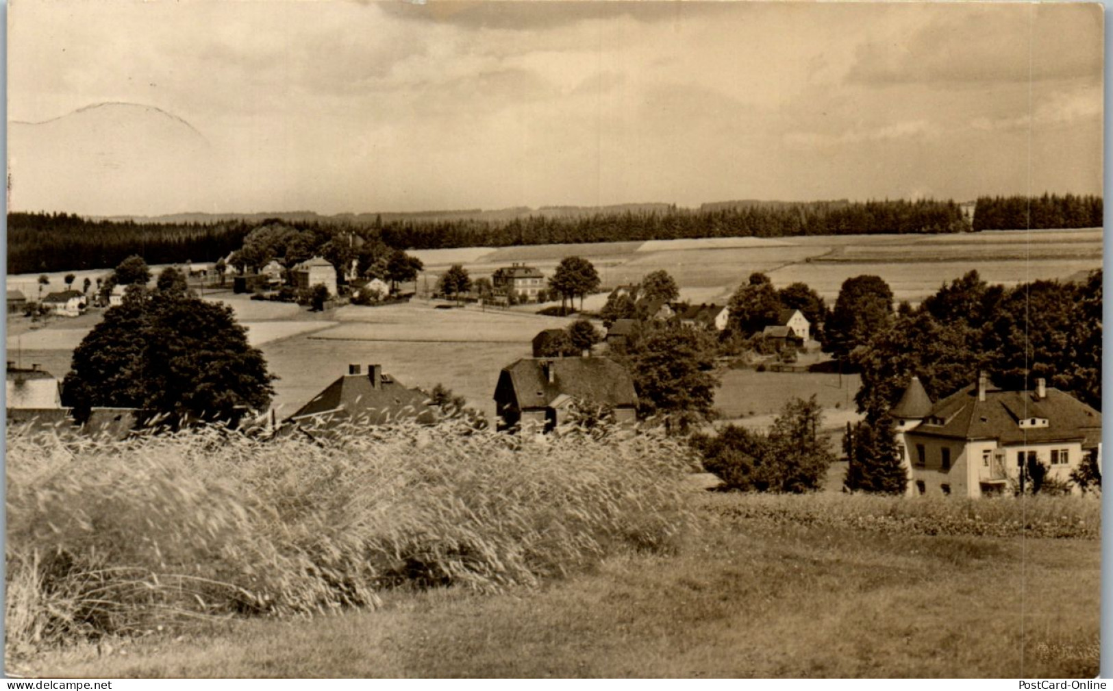 46491 - Deutschland - Wernitzgrün , Vogtland , Panorama - Gelaufen 1966 - Markneukirchen