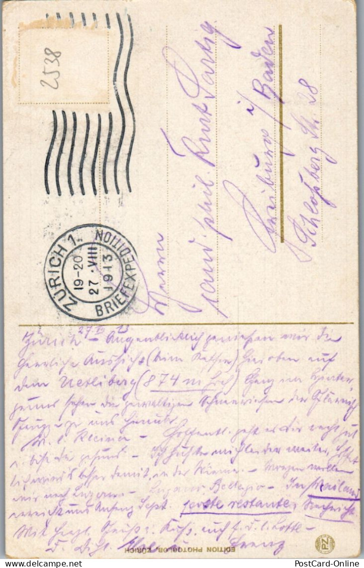 46429 - Schweiz - Rapperswil , Die Burg - Gelaufen 1913 - Rapperswil-Jona