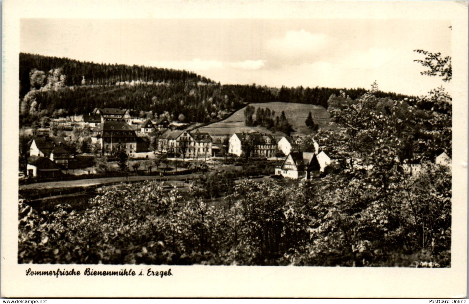 46346 - Deutschland - Bienenmühle , Rechenberg , Erzgebirge , Panorama , Sommerfrische - Gelaufen 1956 - Rechenberg-Bienenmühle