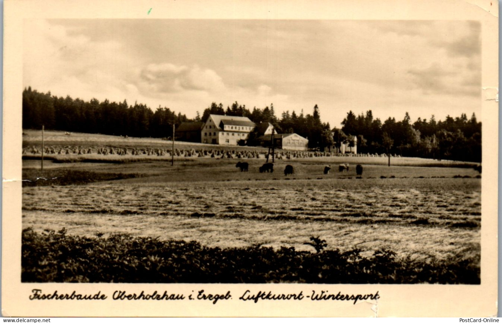 46264 - Deutschland - Oberholzhau , Fischerbaude Im Erzgebirge - Gelaufen 1957 - Oberholzhau (Erzgeb.)