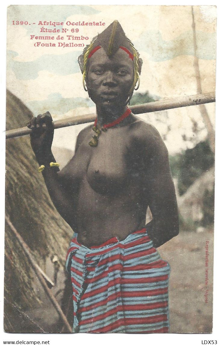 Les Colonies - Femme De TIMBO - SEINS NUS - Fouta Djallon - Afrique Occidentale - étude ETHNIQUE N°69 - 1390 - Guinée Française