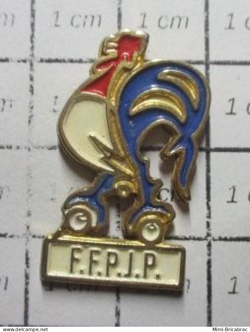 513J Pin's Pins / Beau Et Rare / SPORTS / PETANQUE COQ TRICOLORE FFPJP - Pétanque