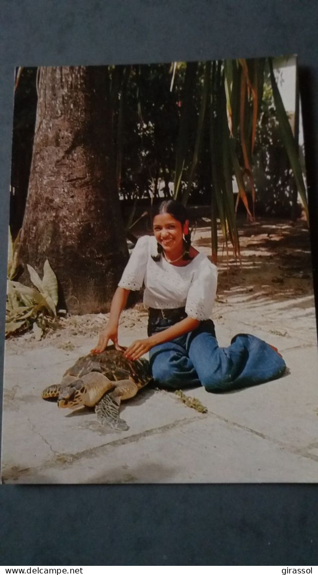 CPM GAUDELOUPE TORTUE JEUNE FEMME POUR PREPARER UN BON REPAS A LA TORTUE ED HACHETTE ANTILLES 7670 - Schildkröten