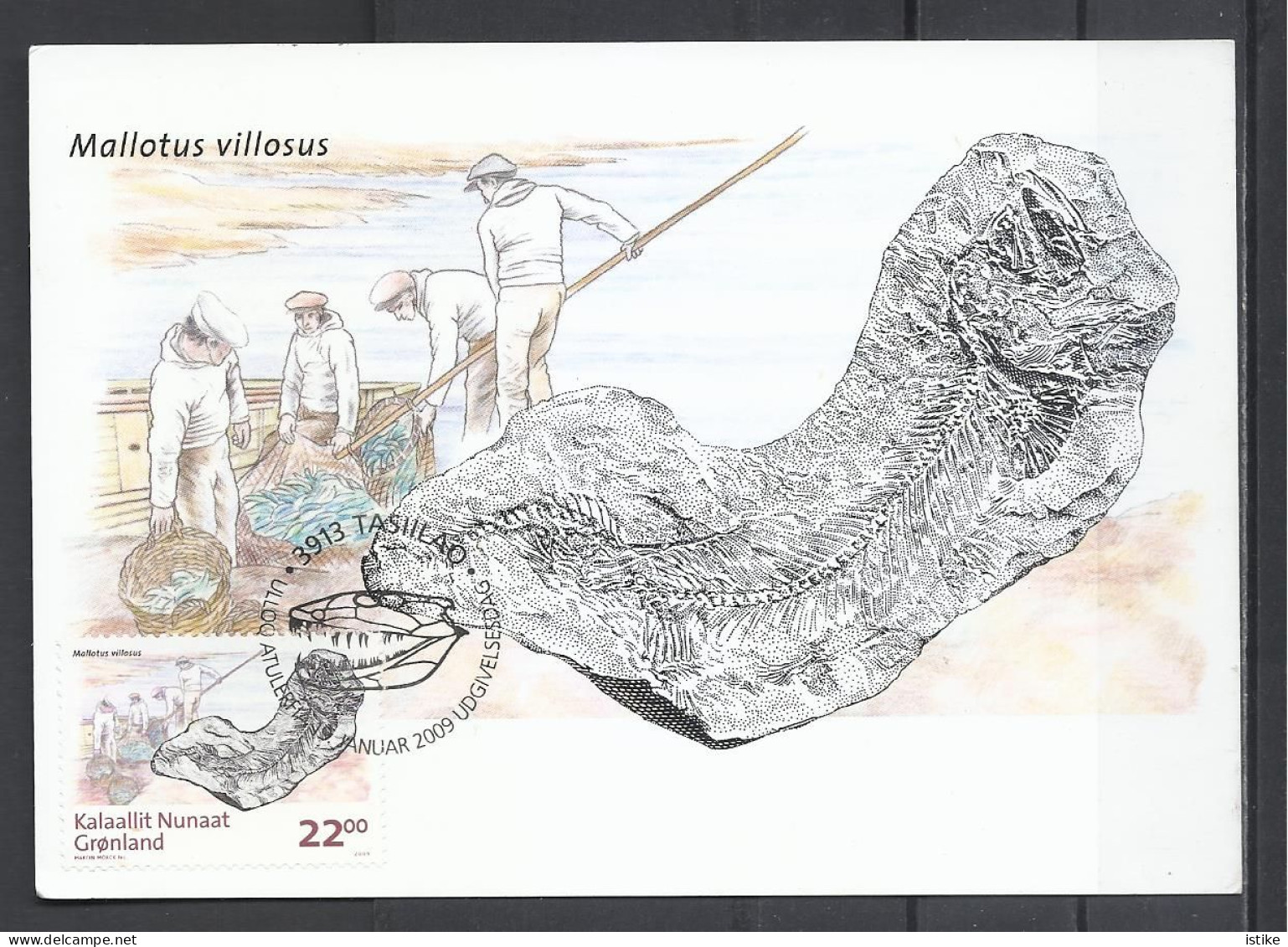 Gronland, Greenland, Maximum Card, Fossils II."Mallotus Villosus"(Capelin), 2009. - Maximumkarten (MC)