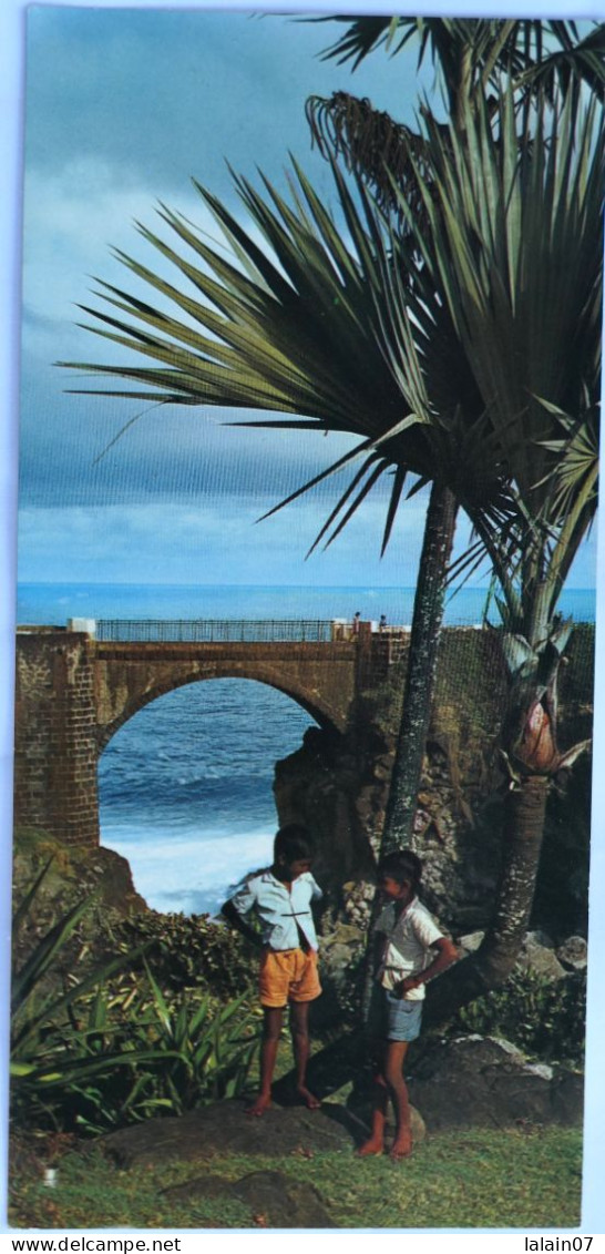 Carte Postale Double : Environs De SAINT PIERRE De La Réunion : Sur La Route De Manapany Et De St-Joseph, Animé, En 1973 - Saint Pierre