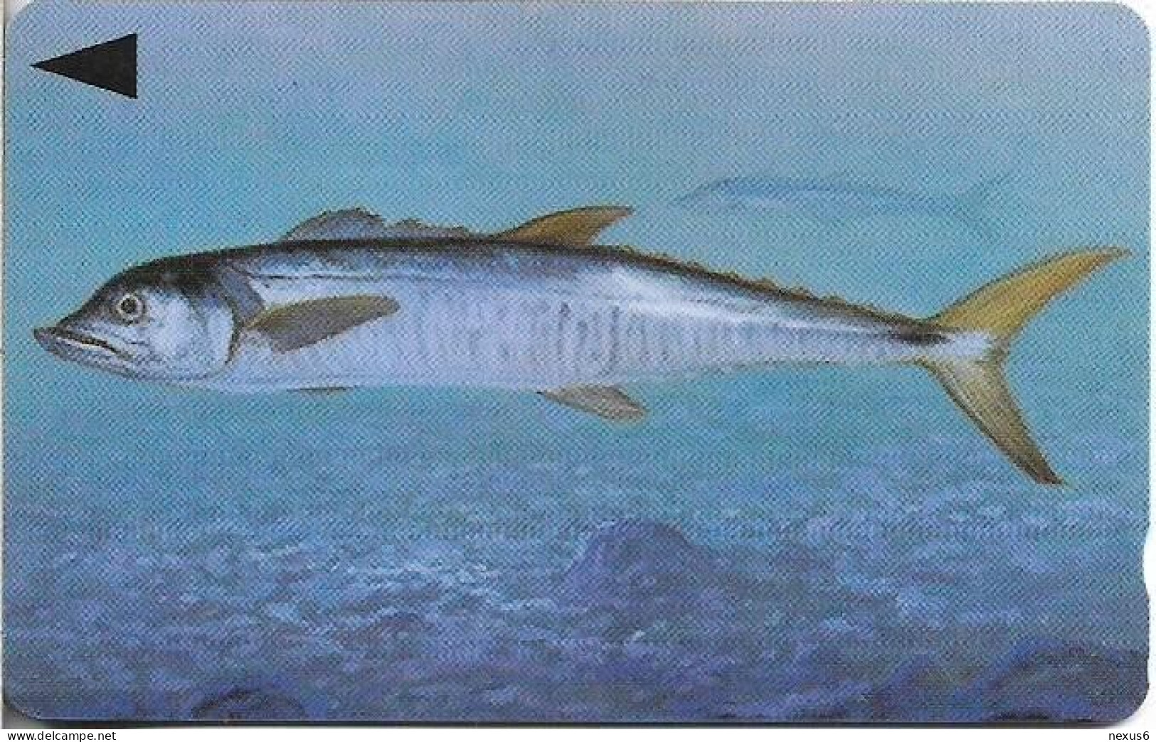 Bahrain - Batelco (GPT) - Fish Of Bahrain - Spanish Mackerel - 39BAHR (Normal 0, Small Cn.), 1996, 50Units, Used - Bahreïn