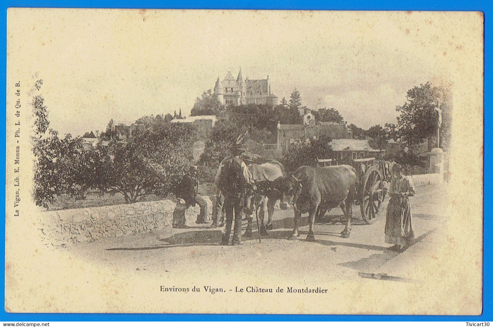 CPA GARD (30) - ENVIRONS DU VIGAN - LE CHATEAU DE MONTDARDIER - La Grand-Combe