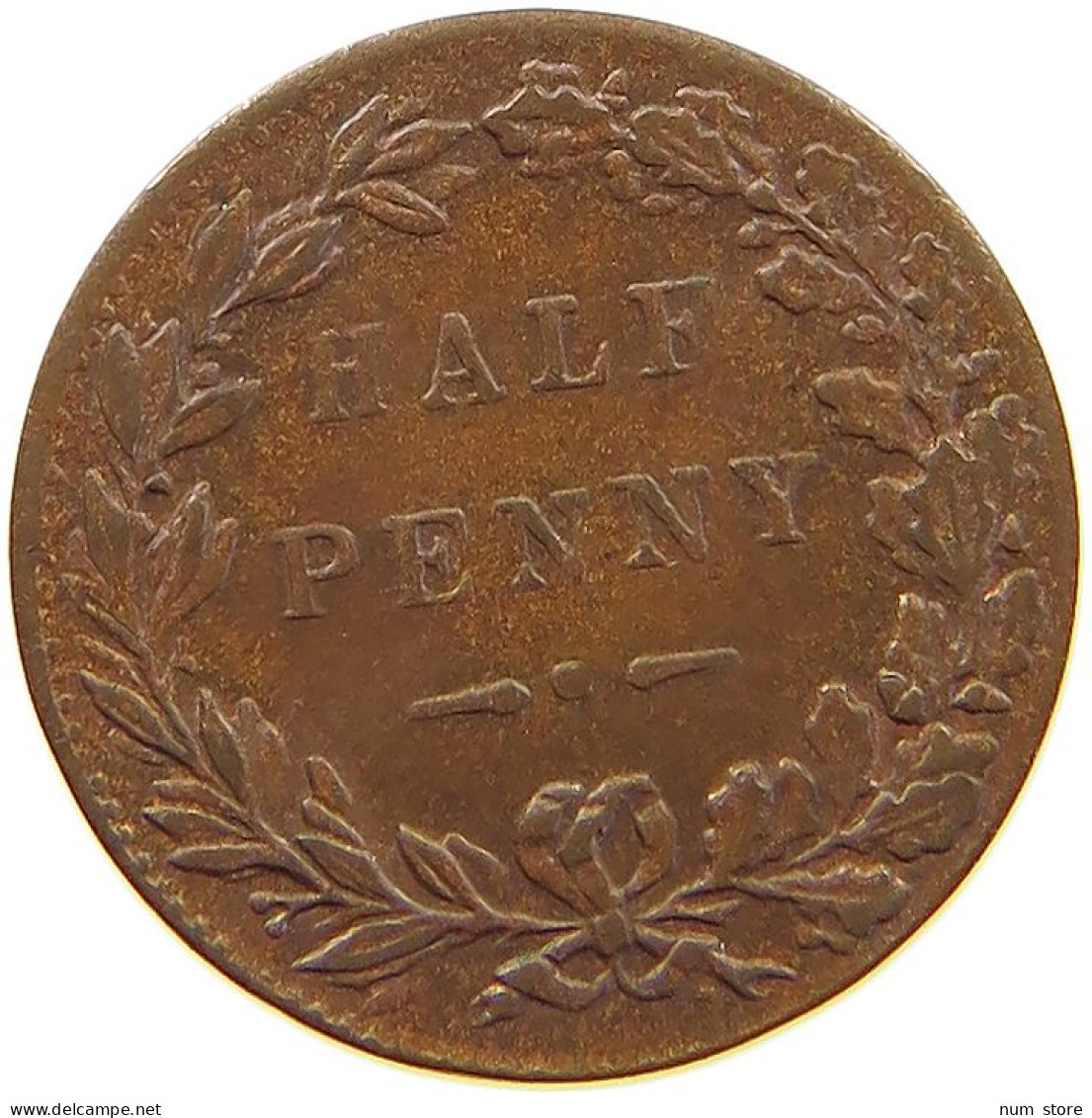 GREAT BRITAIN MODEL HALF PENNY   #c065 0397 - Autres & Non Classés