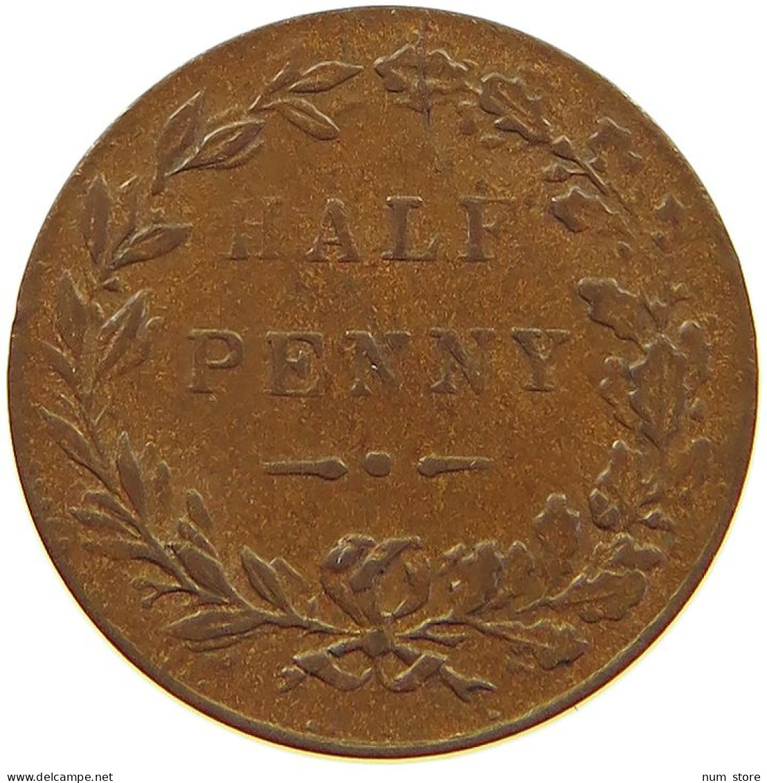 GREAT BRITAIN MODEL HALF PENNY   #c065 0393 - Autres & Non Classés