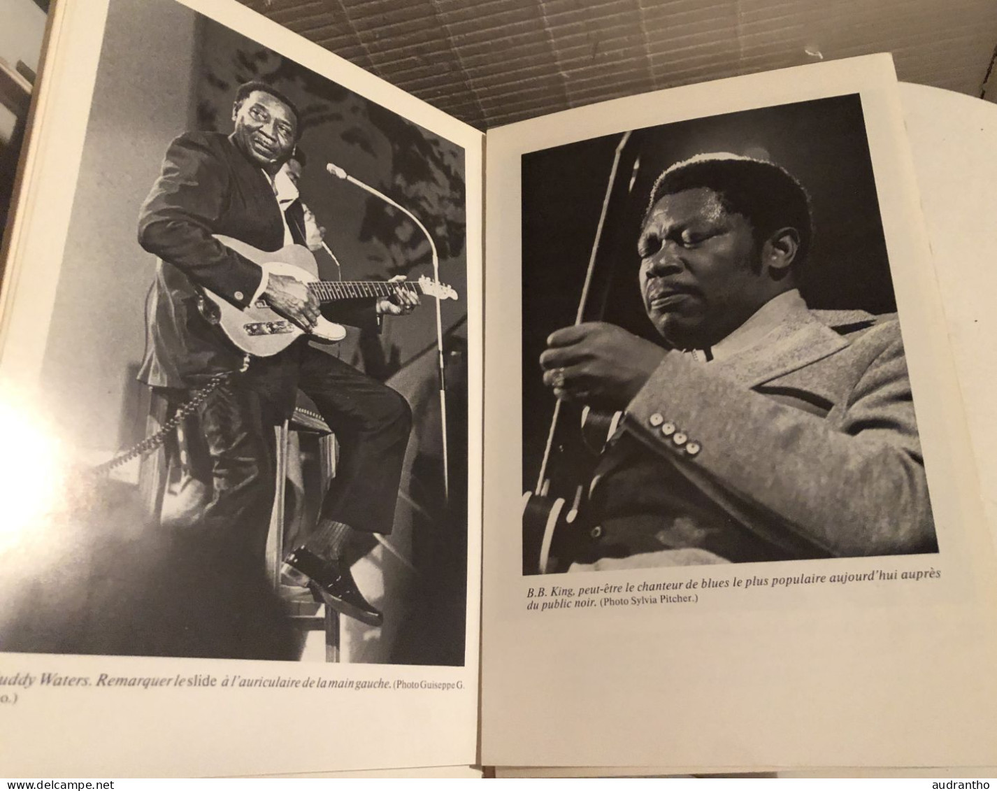 UNE HISTOIRE DU BLUES DEVIL'S MUSIC 1976 Giles Oakley nombreuses photos Eddie Taylor Leadbelly Gertrude Bessie Smith ...