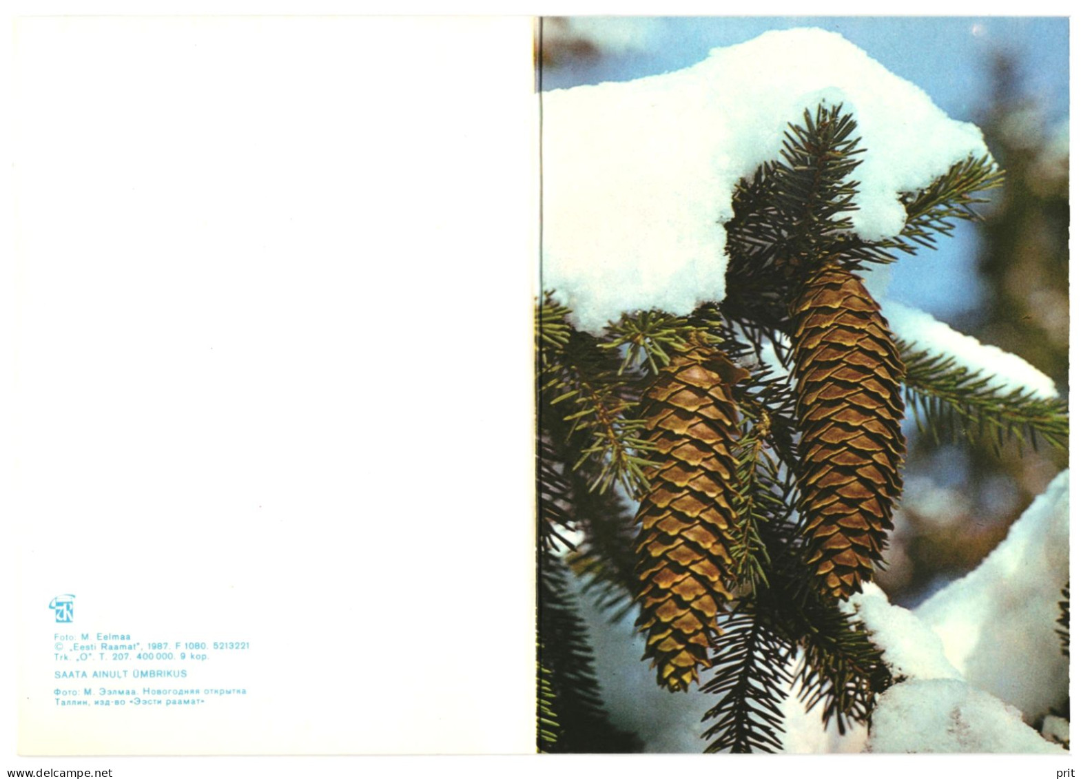 Happy New Year! Christmas Tree Fir Cones Snow 1987 Unused Vintage Postcard. Publ: Eesti Raamat, Tallinn Soviet Estonia - Estonie