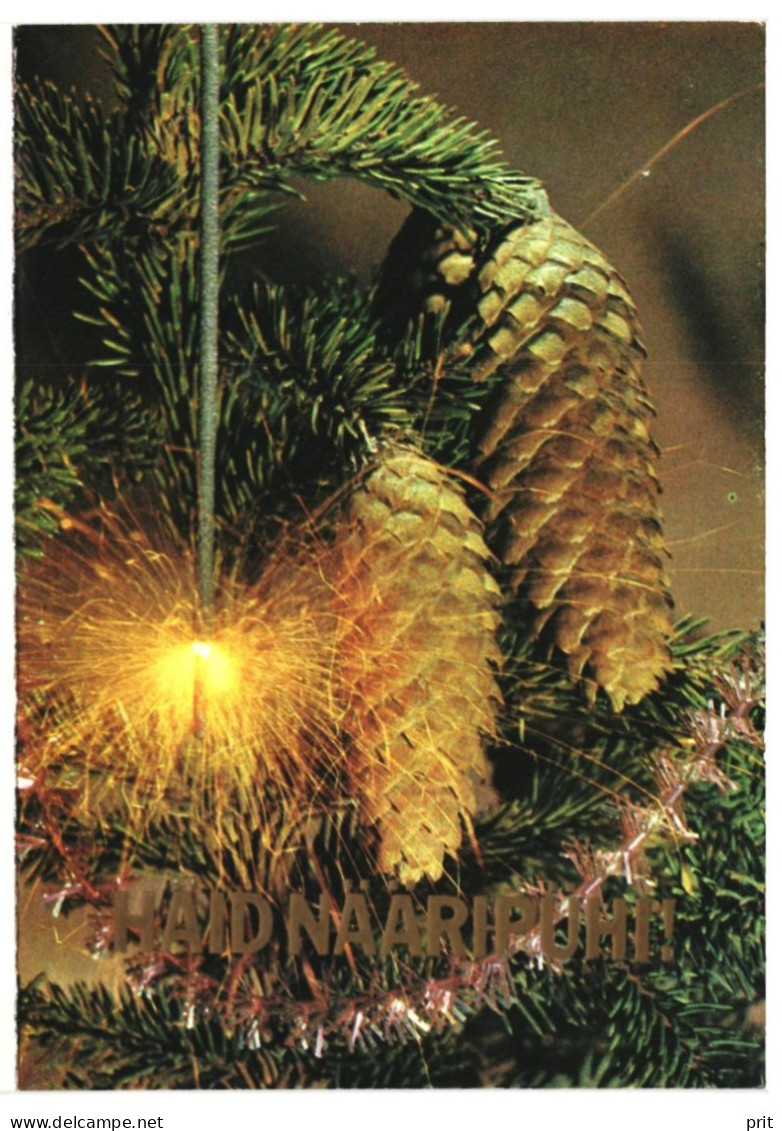 Happy New Year! Fir Cones, Sparkler 1981 Unused Vintage Postcard. Publ: Soviet Estonia Communist Party, Tallinn - Estonie