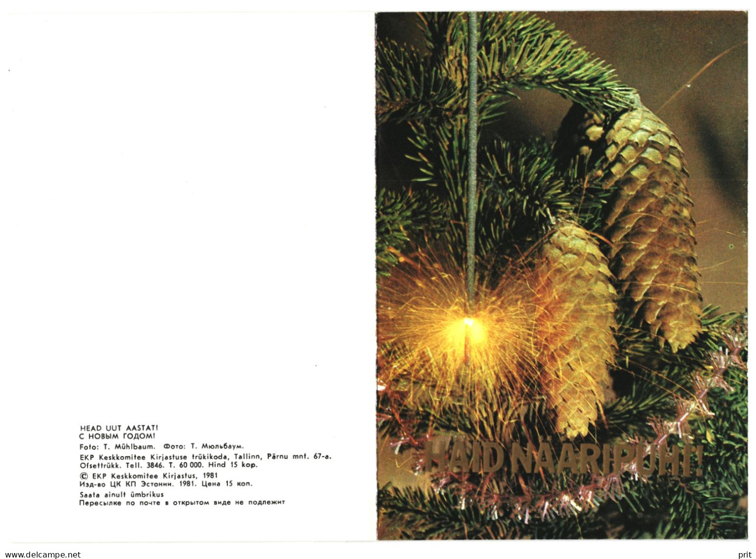 Happy New Year! Fir Cones, Sparkler 1981 Unused Vintage Postcard. Publ: Soviet Estonia Communist Party, Tallinn - Estonie