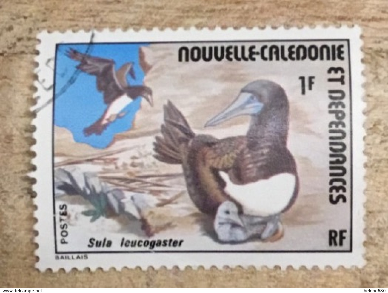 NOUVELLE-CALEDONIE. Fous N° 398 - Oblitérés