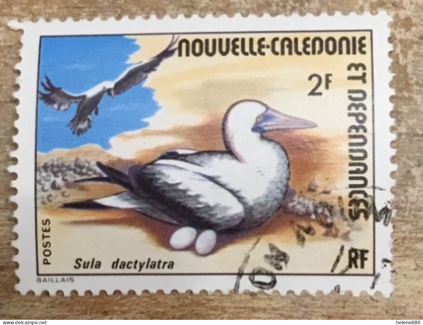 NOUVELLE-CALEDONIE. Fous N° 399 - Usados