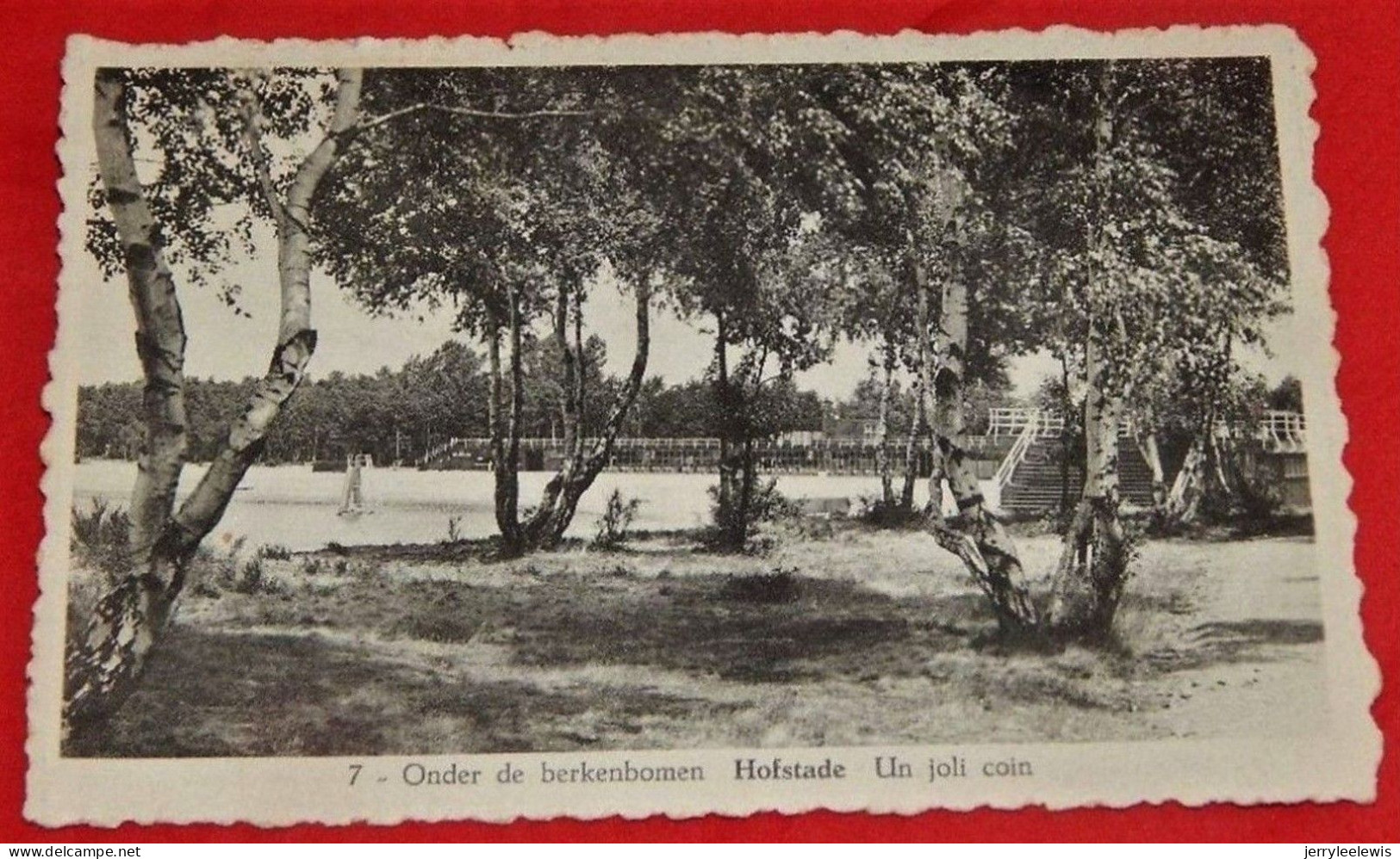 HOFSTADE  -  ZEMST  -   Onder De Berkenbomen   - Un Joli Coin  - - Zemst