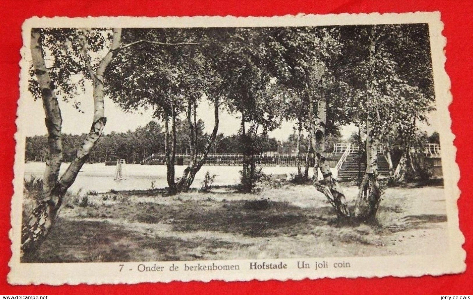 HOFSTADE  -  ZEMST  -   Onder De Berkenbomen   - Un Joli Coin  - - Zemst