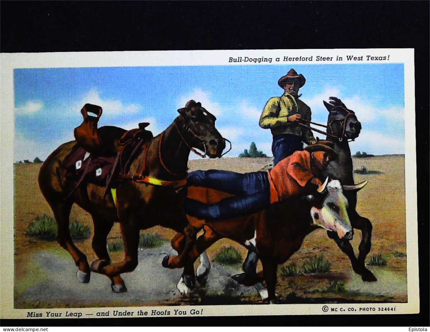 ►  Cowboy's  Bull-Dogging  - Carte Fine Recto Verso Provenance Carnet  Amarillo West Texas. 1930s - Amarillo