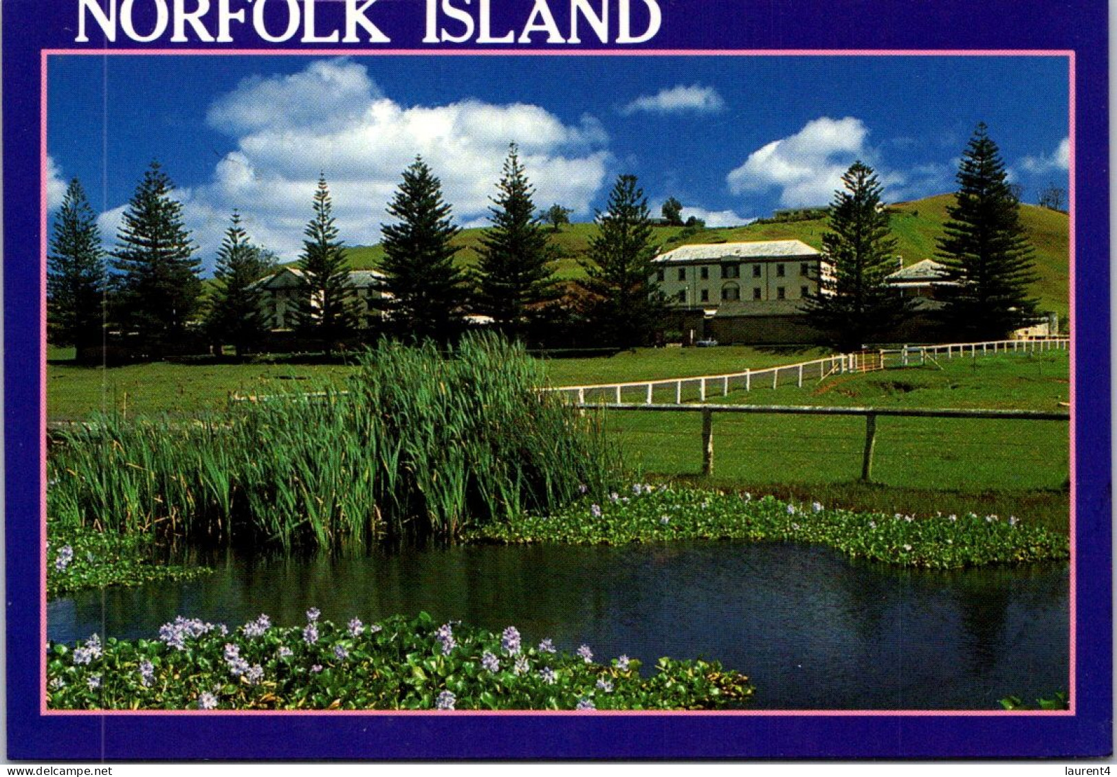 12-11-2023 (2 V 1) Australia (posted With Stamp 2003 ?) (NSW) - Norfolk Island / Ile De Norfolk - Norfolk Island