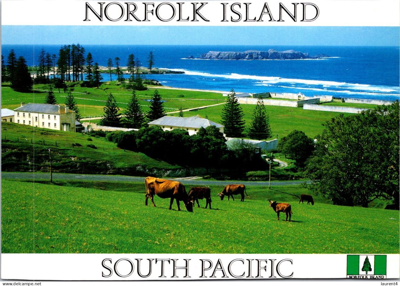 12-11-2023 (2 V 1) Australia (posted With Cat Stamp) (NSW) - Cows / Vaches - Norfolk Island / Ile De Norfolk - Norfolk Island