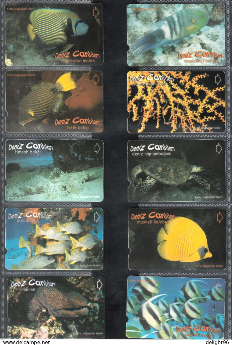 2003 Turkey Marine Life Complete Set - Vissen