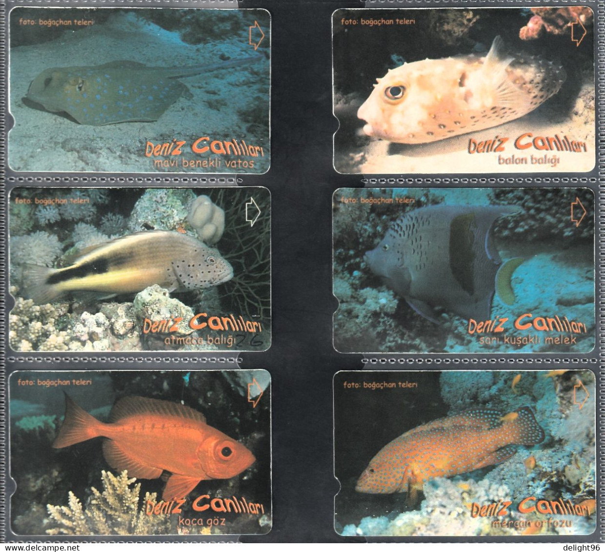 2003 Turkey Marine Life Complete Set - Fish