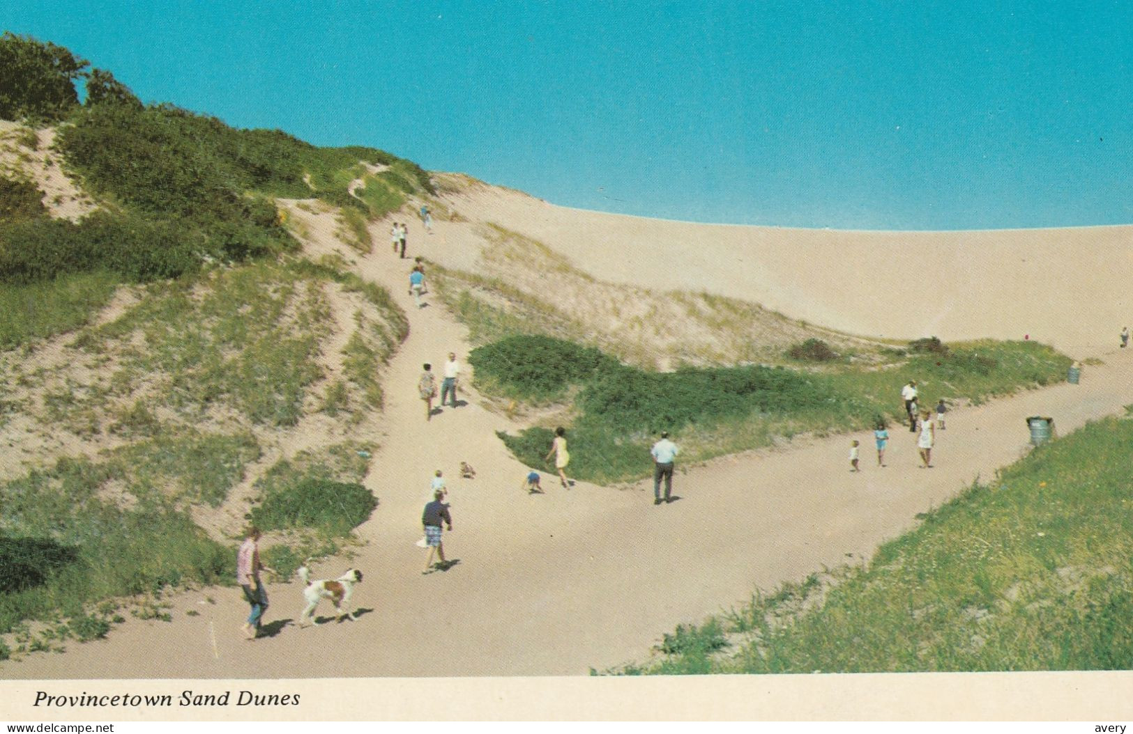 Foot Prints On Cape Cod Sand Dunes - Cape Cod