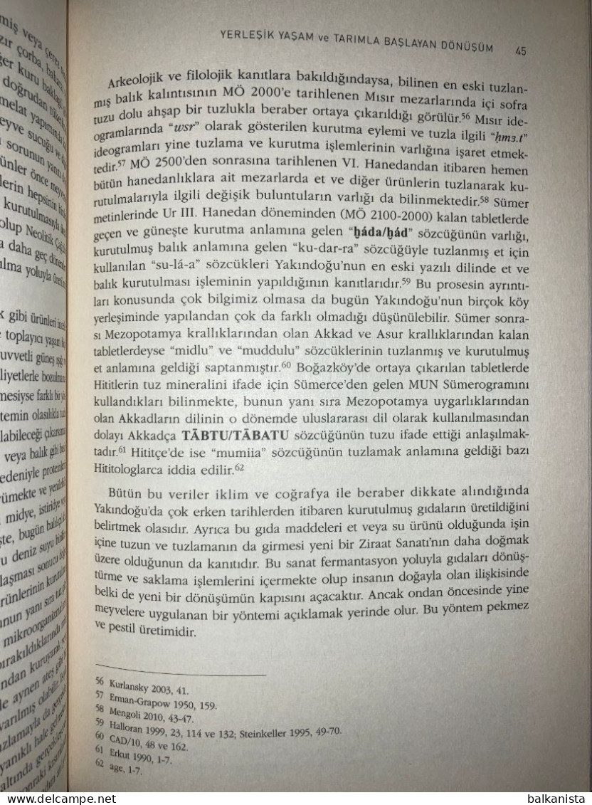 Anadolu Mutfak Kulturunun Kokenleri. Arkeolojik, Arkeometrik  Archaeology - Cultura