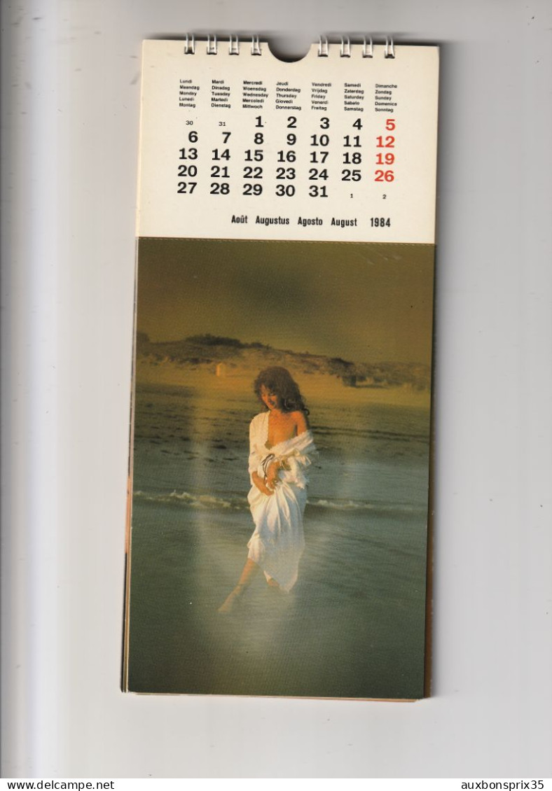 CALENDRIER EROTIQUE SOFT 1984 - SOFT DREAMS - PHOTOGRAPHE JACQUES JACOB - Autres & Non Classés