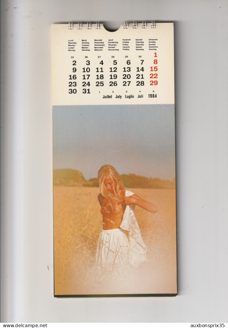 CALENDRIER EROTIQUE SOFT 1984 - SOFT DREAMS - PHOTOGRAPHE JACQUES JACOB - Autres & Non Classés