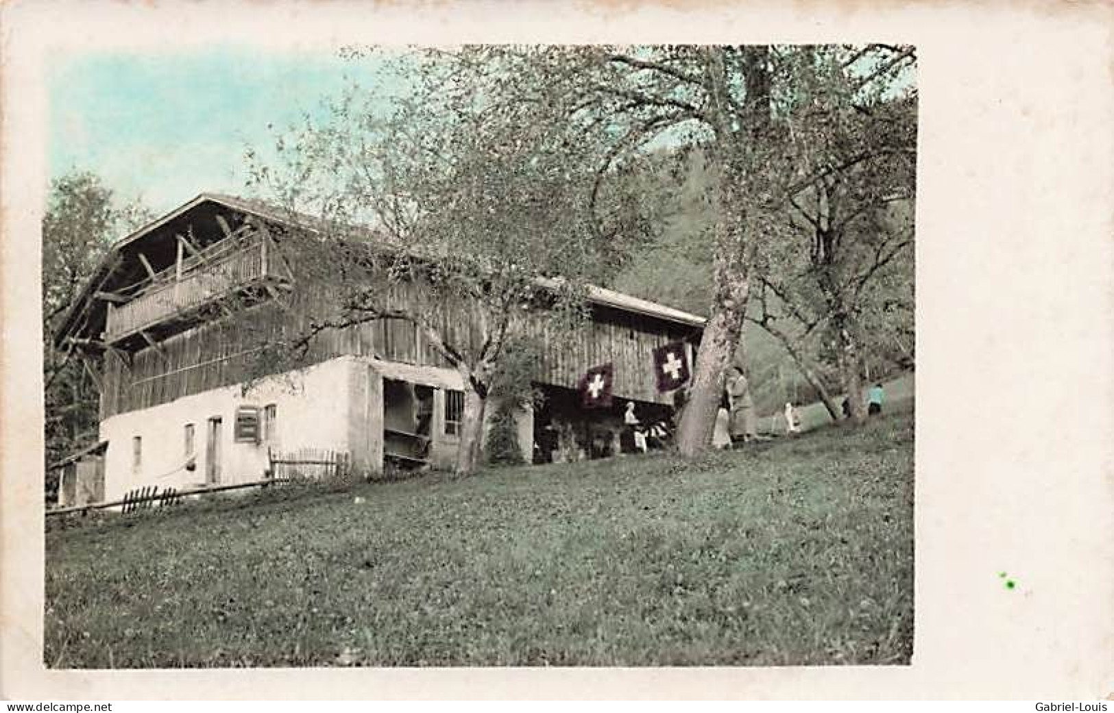 Carte-Photo Berner Oberland Bern - Lago Di Thun