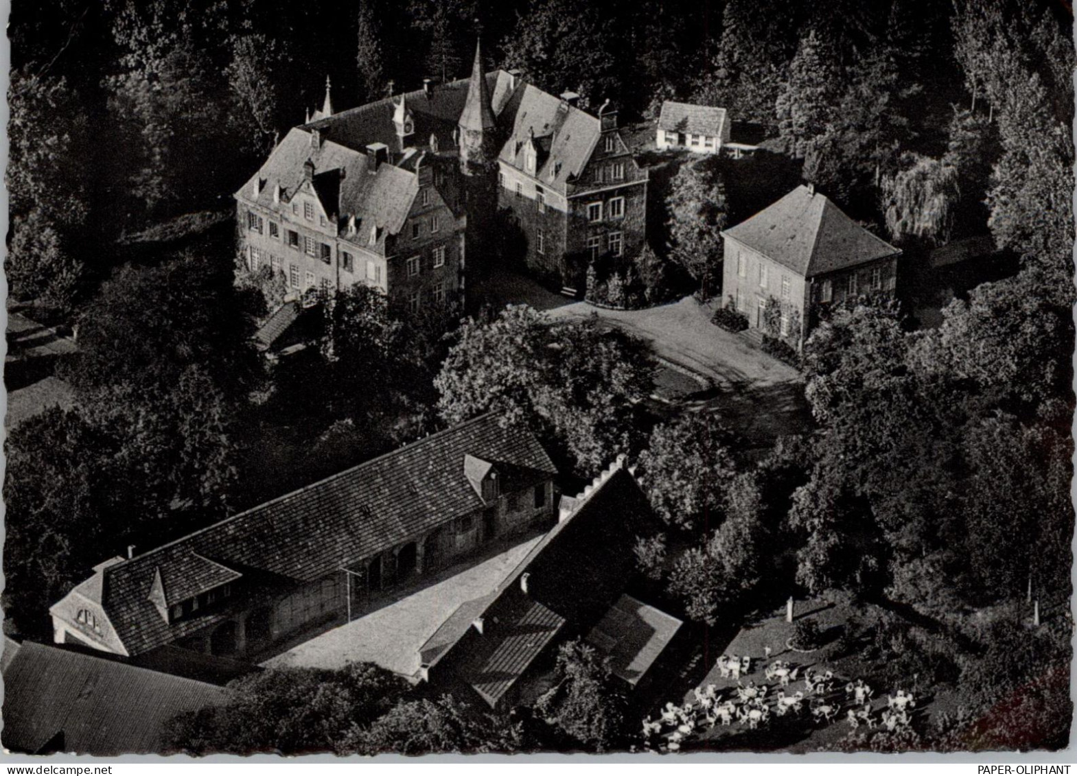 4446 HÖRSTEL - RIESENBECK, Schloßcafe Surenburg, Luftaufnahme 196... - Steinfurt