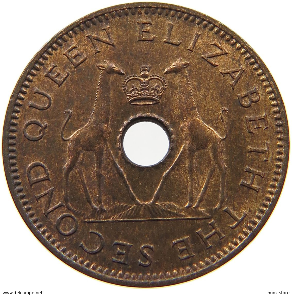 RHODESIA 1/2 PENNY 1958 Elizabeth II. (1952-2022) #s050 0625 - Rhodesia