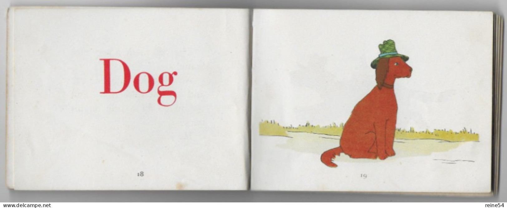 ANT And BEE -Angela BANNER -An Alphabetical Story For Tiny Tots- Edmund Ward - School Books