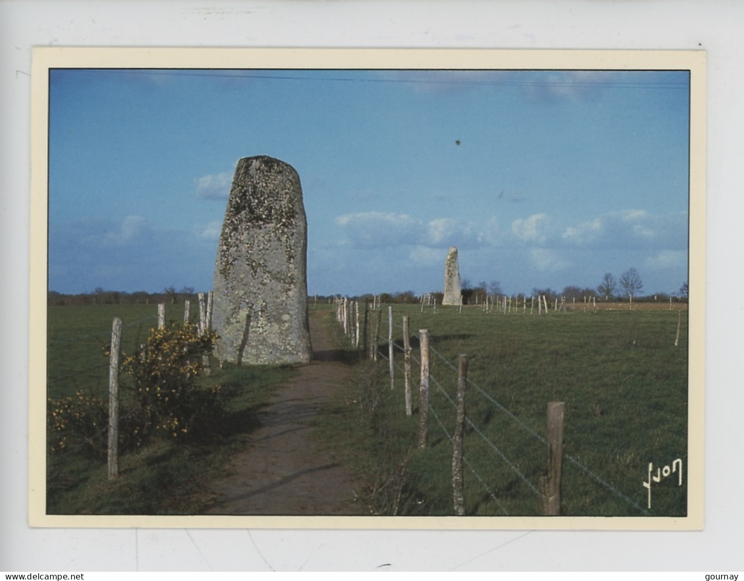 Le Talmondais Mégalithique (85) Le Bernard - Menhirs Du Plessis (cp Vierge N° 6713 Yvon Histoire) - Dolmen & Menhirs