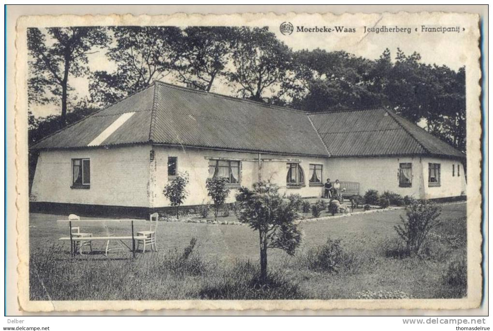 2n719: ALBERT MOERBEKE-WAAS JEUGDHERBERG " Francipanij" ... Wel Bevuild... - Moerbeke-Waas